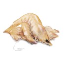 Thawed-Large-Australian-Green-Banana-Prawns Sale