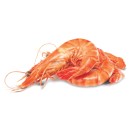 Thawed-Medium-Cooked-Australian-Tiger-Prawns Sale