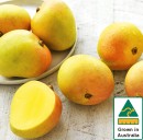 Australian-Mangoes Sale