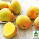 Australian-Mangoes Sale