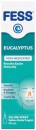 Fess-Eucalyptus-Saline-Nasal-Spray-30mL Sale