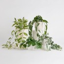 Artificial-Hali-Potted-Plant-by-MUSE Sale