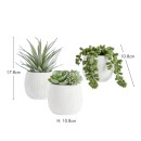 Artificial-Avalon-Potted-Succulent-by-MUSE Sale