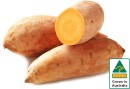 Australian-Gold-Sweet-Potatoes Sale