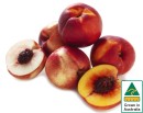 Australian-Yellow-or-White-Nectarines Sale