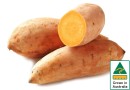 Australian-Gold-Sweet-Potatoes Sale