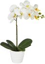 Marketlane-Faux-Orchid Sale