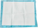 Ark-Pet-Training-Pads-50-Pack Sale