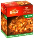 Solar-Bud-Lights-5m-100-Warm-White-Lights-with-Steady-and-Flashing-Modes Sale