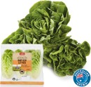 Coles-Australian-Baby-Gem-Lettuce-3-Pack Sale