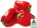 Australian-Red-Capsicum Sale