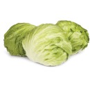 Australian-Iceberg-Lettuce Sale