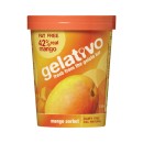 Gelativo-Sorbet-1-Litre Sale