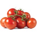 Australian-Truss-Tomatoes Sale