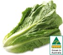 Australian-Cos-Lettuce-Twin-Pack Sale