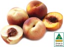 Australian-Yellow-or-White-Peaches Sale