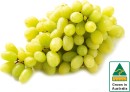 Australian-White-Seedless-Grapes Sale