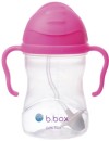 BBox-Sippy-Cup-For-Kids-Assorted-6-Months-1-Each Sale