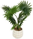 Artificial-Palm-in-Check-Pot Sale