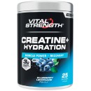 Vital-Strength-Creatine-Hydration-400g Sale