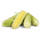 Australian-Loose-Sweet-Corn Sale