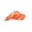 Fresh-Cooked-Australian-Tiger-Prawns Sale