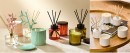 Love-Anna-x-Candles-and-Diffusers Sale