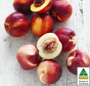 Australian-Yellow-or-White-Nectarines Sale