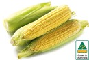 Australian-Sweet-Corn-500g-Pack Sale