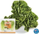 Coles-Australian-Baby-Gem-Lettuce-3-Pack Sale