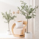 Artificial-Fruitless-Olive-Tree-by-MUSE Sale