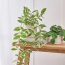 Artificial-Hali-Potted-Plant-by-MUSE Sale