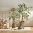 Giant-Eucalyptus-Tree-by-MUSE Sale