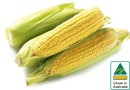 Australian-Sweet-Corn-500g-Pack Sale