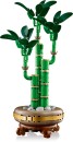 LEGO-Botanicals-Lucky-Bamboo-10344 Sale