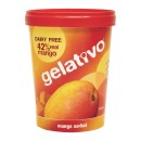 Gelativo-Sorbet-1-Litre Sale