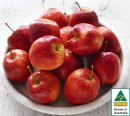 Australian-Royal-Gala-Apples Sale