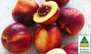 Australian-Yellow-or-White-Nectarines Sale