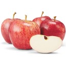 Australian-Royal-Gala-Apples Sale