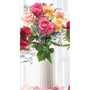 Colour-Roses-Bouquet-6-Stem Sale