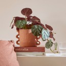 Artificial-Begonia-Hanging-Plant-by-MUSE Sale