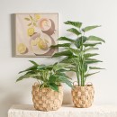 Artificial-Philodendron-Plant-by-MUSE Sale