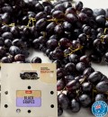 Australian-Loose-Black-Seedless-Grapes Sale