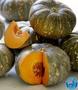 Australian-Kent-Pumpkin Sale