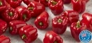 Australian-Red-Capsicums Sale