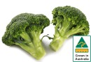 Australian-Broccoli Sale