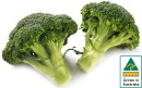 Australian-Broccoli Sale