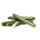 Australian-Continental-Cucumber Sale