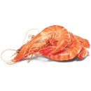 Thawed-Extra-Large-Australian-Cooked-Tiger-Prawns Sale