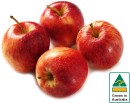 Australian-Royal-Gala-Apples Sale